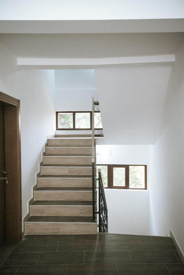 Apartman Kostic Kraljev Konak コパオニク エクステリア 写真