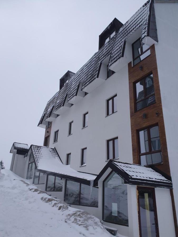 Apartman Kostic Kraljev Konak コパオニク エクステリア 写真