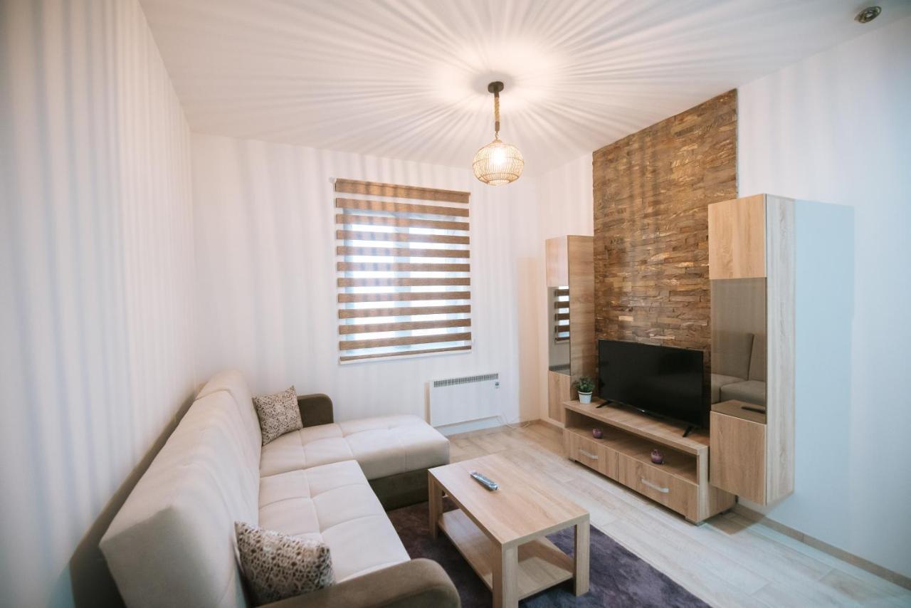 Apartman Kostic Kraljev Konak コパオニク エクステリア 写真