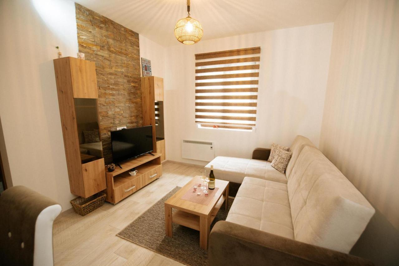 Apartman Kostic Kraljev Konak コパオニク エクステリア 写真